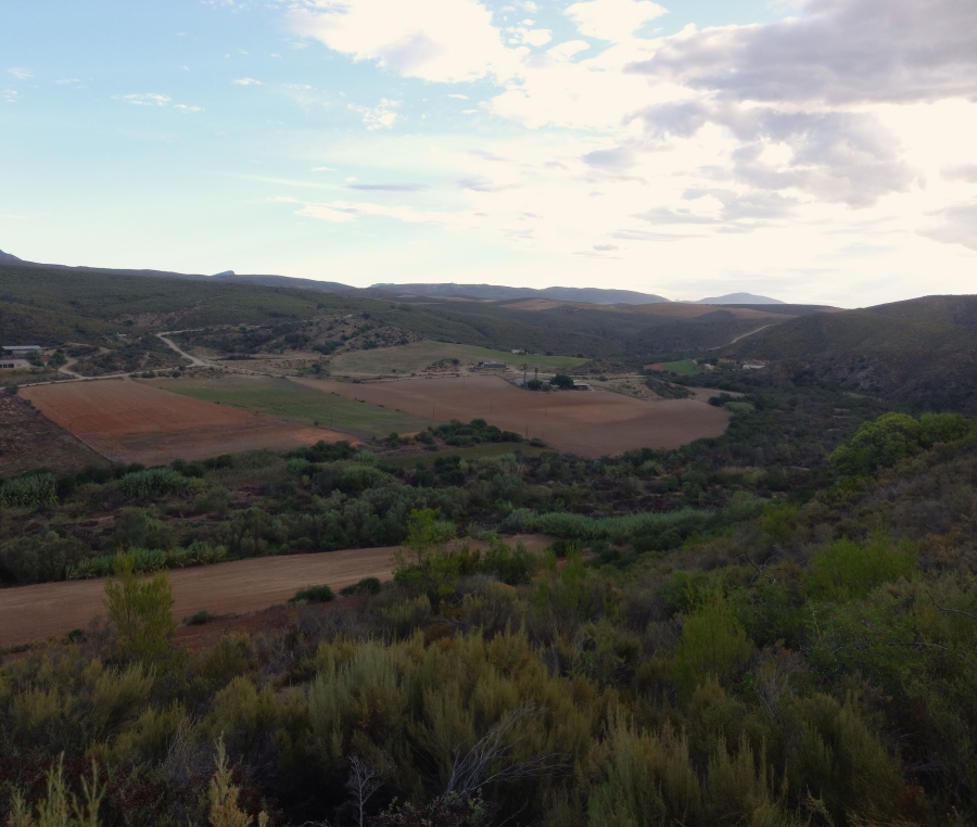 4 Bedroom Property for Sale in Uniondale Rural Western Cape